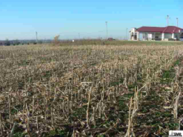 Image of Vacant Land - 21st & Urish Rd. in Topeka